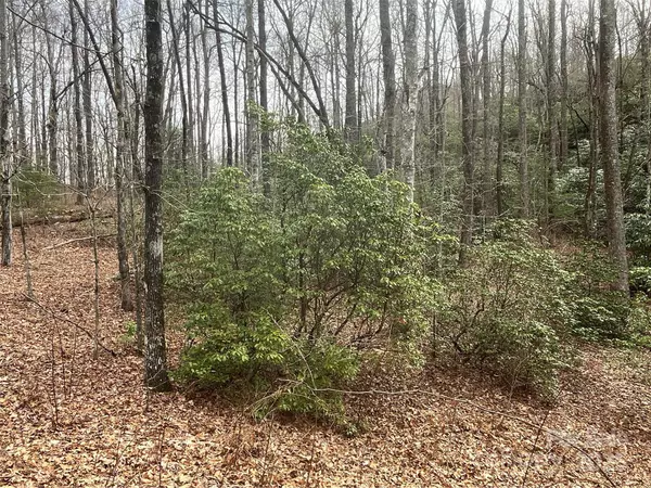 Brevard, NC 28712,999 Panther Gap RD