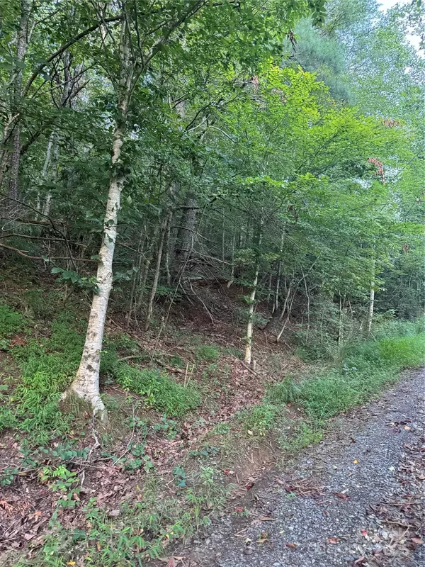 Marshall, NC 28753,TBD Grapevine RD