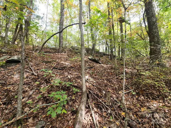 Zirconia, NC 28790,99999 N Pointe DR #3