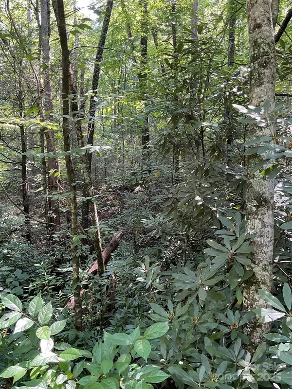 Lake Lure, NC 28746,0 S Poplar DR #162