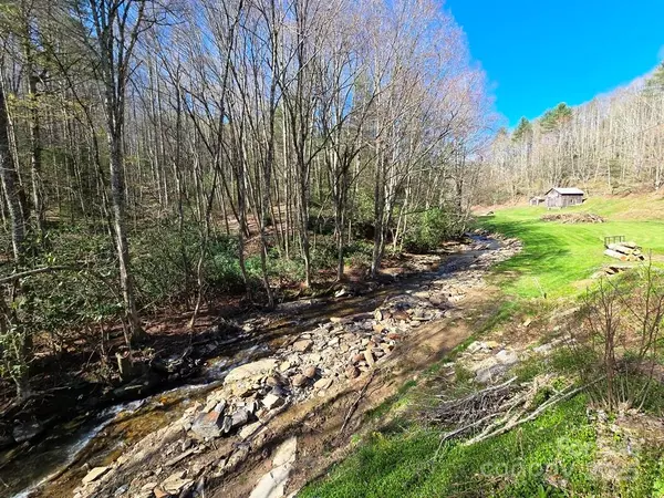 Lansing, NC 28643,115 Little Horse PATH