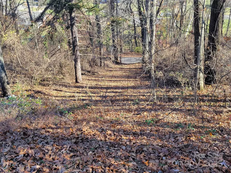 0 Blink Bonny DR #B9 & B11, Waynesville, NC 28786