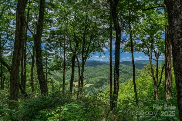 Lenoir, NC 28645,TBD Autumn Ridge DR