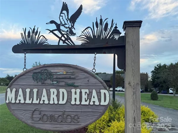 Mooresville, NC 28117,1011 Mallard Head LN #1011