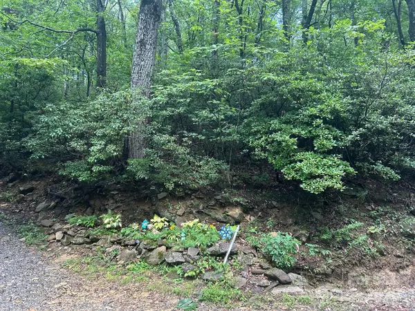 Lot 21 Pine Ridge RD #21, Hendersonville, NC 28792