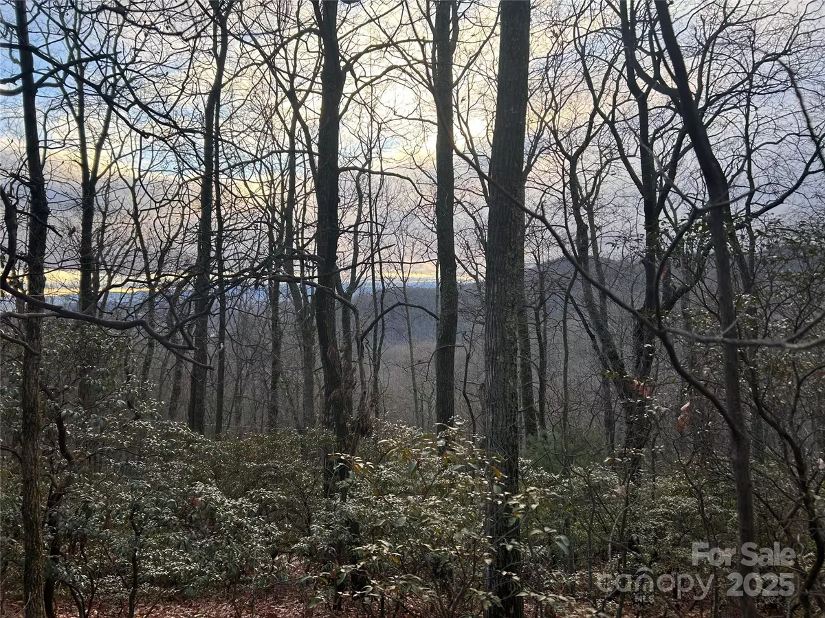 Hendersonville, NC 28792,Lot 21 Pine Ridge RD #21