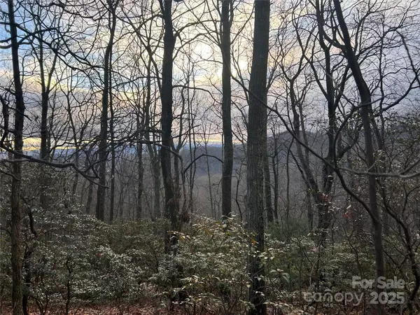 Lot 21 Pine Ridge RD #21, Hendersonville, NC 28792