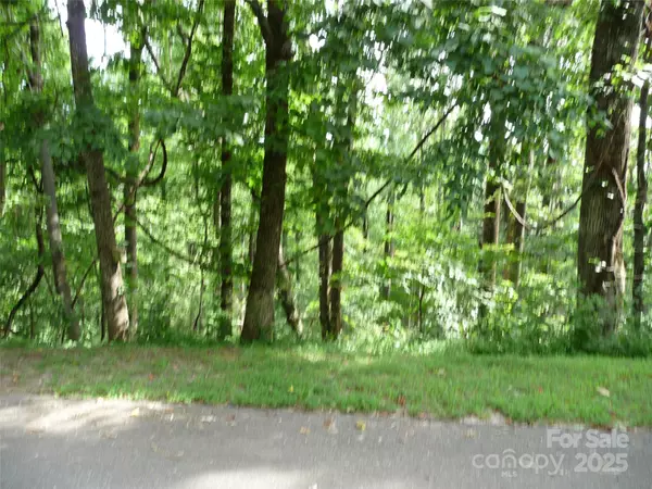 Columbus, NC 28722,Lot 12 Sunset Ridge DR #Lot 12