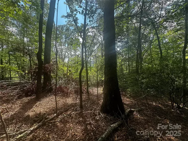 Spruce Pine, NC 28777,00 Rabbit Hop RD