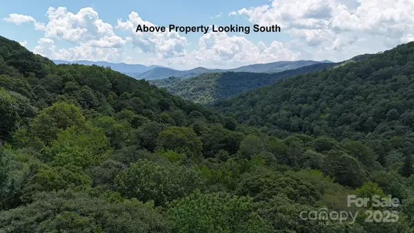 Maggie Valley, NC 28751,2283 Pless Underwood RD