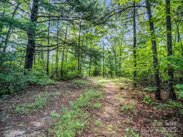 Brevard, NC 28712,TBD Frozen Creek RD