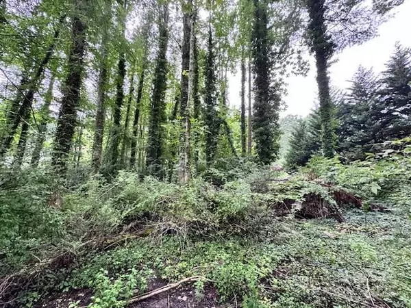 Flat Rock, NC 28731,0 Glengary DR #79