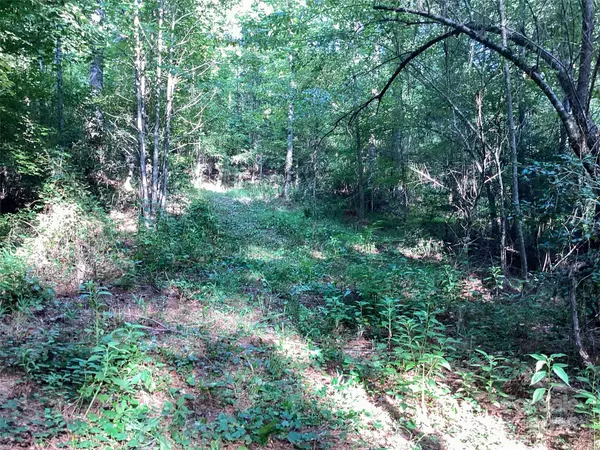 Granite Falls, NC 28630,00 Scenic DR #182