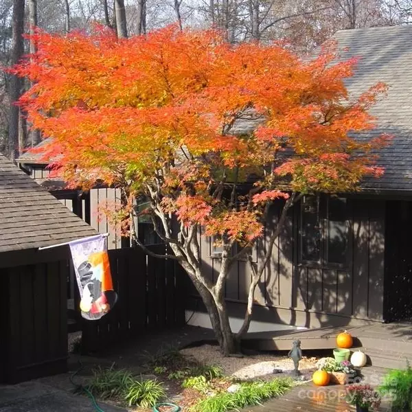 Morganton, NC 28655,115 Kinwood ST