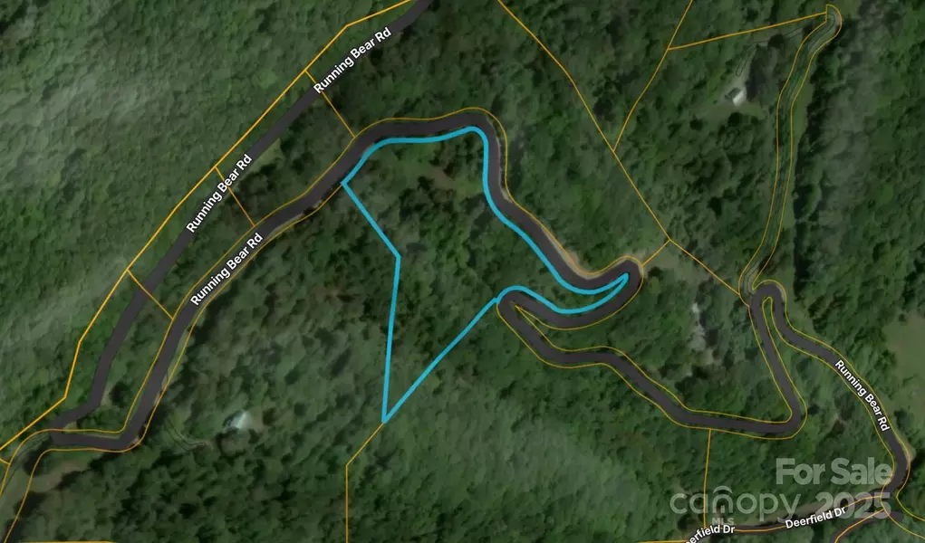 00 Running Bear RD, Hot Springs, NC 28743