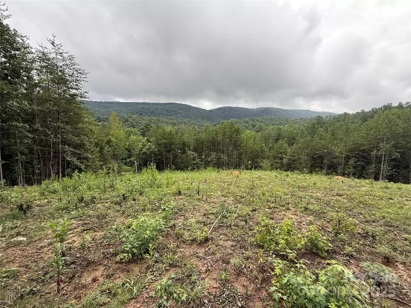 2940 Barlowe PL, Lenoir, NC 28645