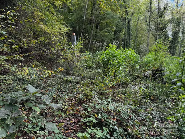 Canton, NC 28716,1261 Asheville HWY