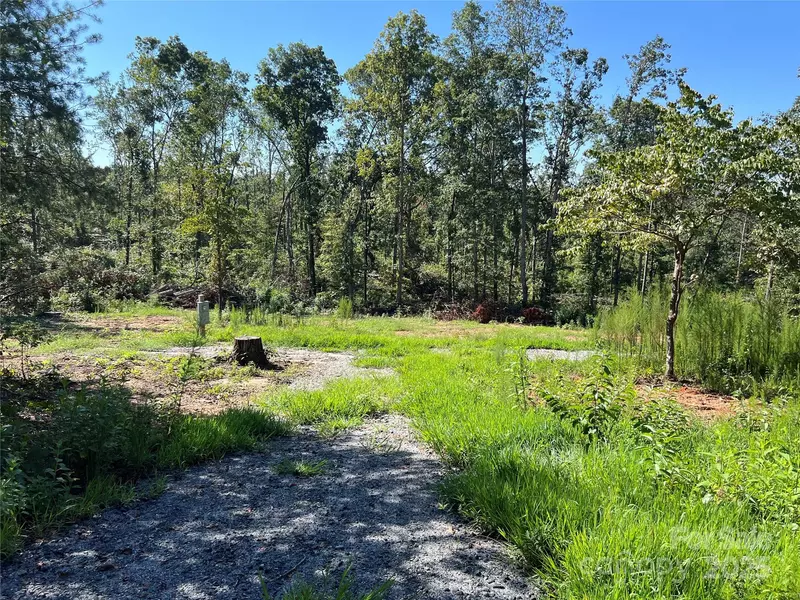 414 Walkaloosa WAY, Mooresboro, NC 28114