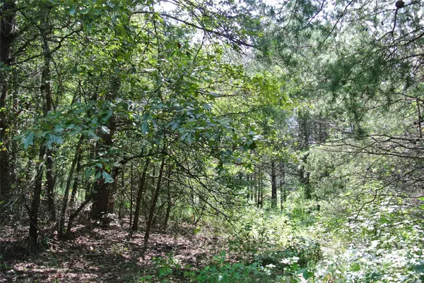 Forest City, NC 28043,Lot 32 Whispering Pines CIR