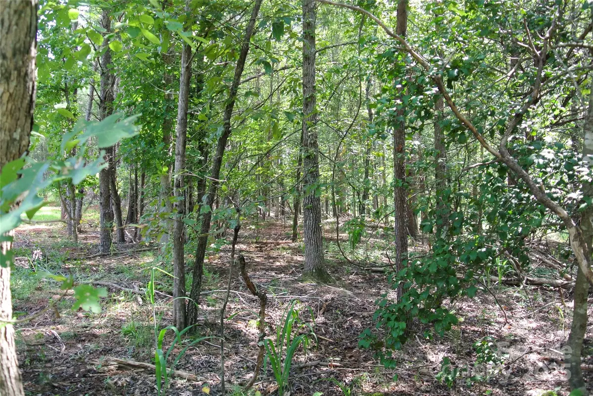 Forest City, NC 28043,Lot 32 Whispering Pines CIR