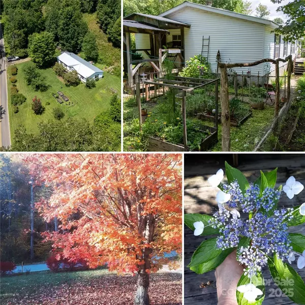 614 Upper Doe Bag RD, Green Mountain, NC 28740