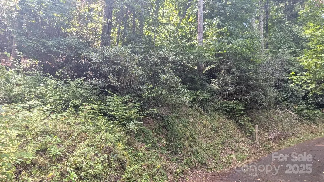 00 Chestnut Walk DR #3, Waynesville, NC 28786