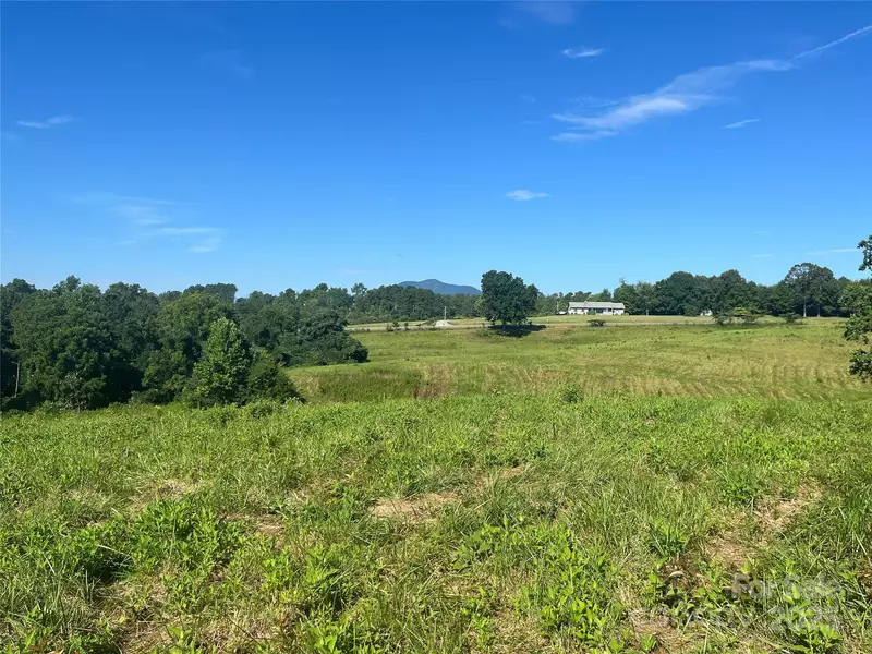 536-2 Pea Ridge RD, Mill Spring, NC 28756