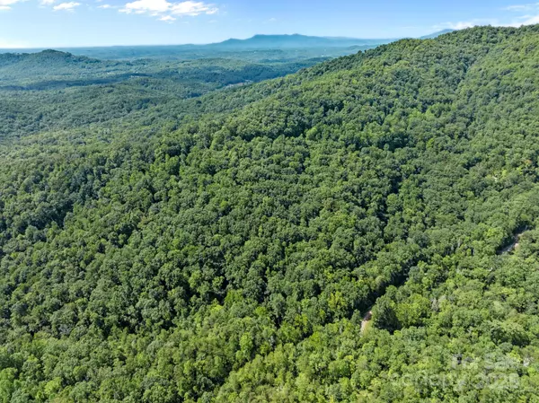 Lake Lure, NC 28746,0000 Peartree DR #487