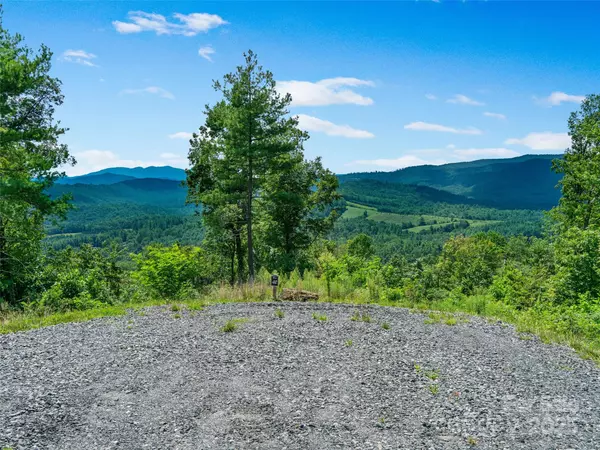 Spruce Pine, NC 28777,0 Summit View Pkwy #42