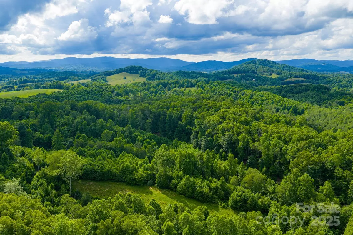 Piney Creek, NC 28663,TBD Phipps Dairy RD