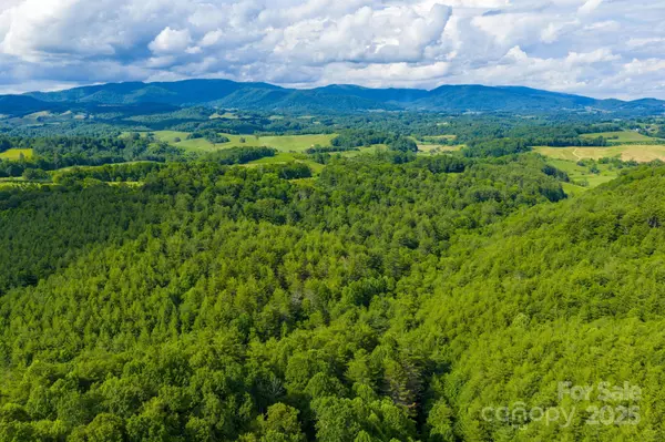 Piney Creek, NC 28663,TBD Phipps Dairy RD