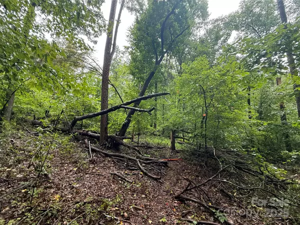 Charlotte, NC 28214,4133 Marlette DR