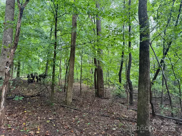 Charlotte, NC 28214,3117 Shirley DR