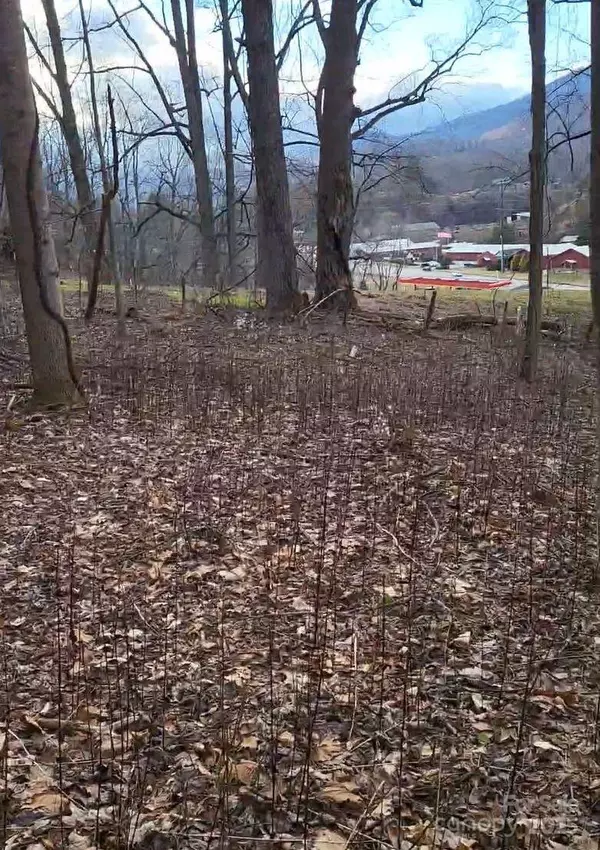 Waynesville, NC 28786,3009 Dellwood RD