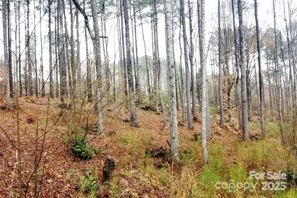 Granite Falls, NC 28630,TBD Broadwater DR #9