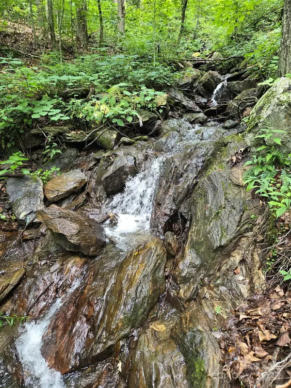 Canton, NC 28716,0 Buffalo RDG