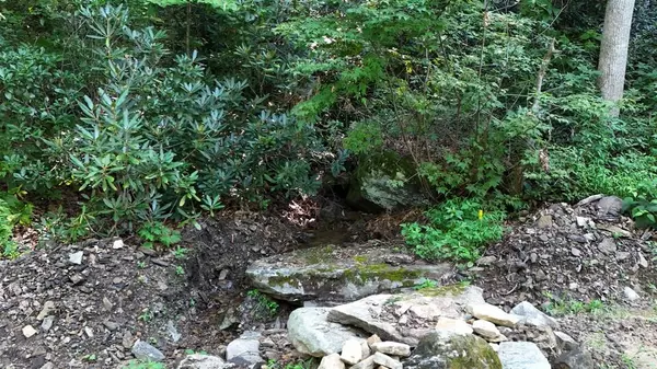 Hendersonville, NC 28792,024 FURNITURE DR