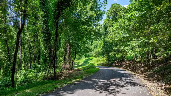 Marion, NC 28752,TBD Mountain Crest DR S #58