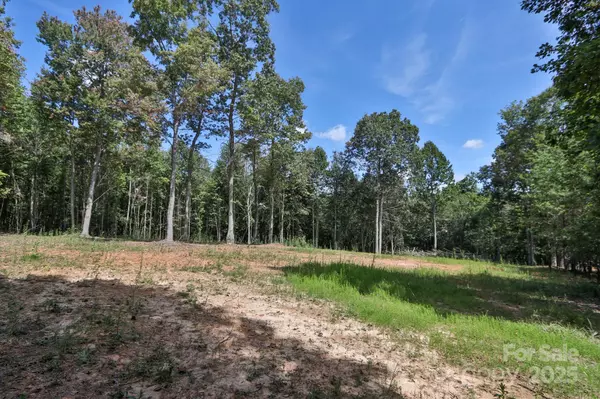 Dobson, NC 27017,LOT 5 & 6 Money RD