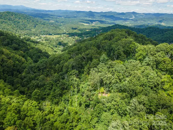 Weaverville, NC 28787,1559 Seven Glens DR #165