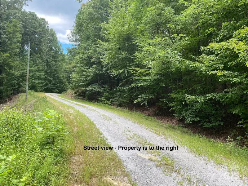 000 Steven ST, Lake Lure, NC 28746