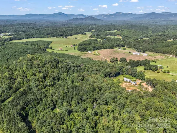Rutherfordton, NC 28139,83.67 Acres Pleasant Grove RD