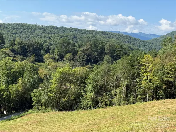 Sylva, NC 28779,205 Crawford Cove RD