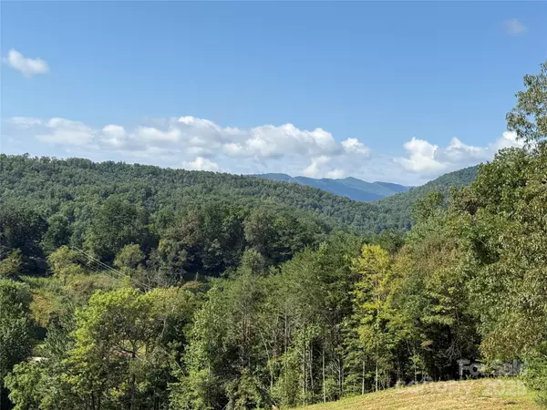Sylva, NC 28779,205 Crawford Cove RD