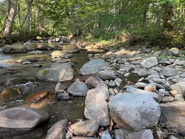 Bakersville, NC 28705,353 Perkins RD