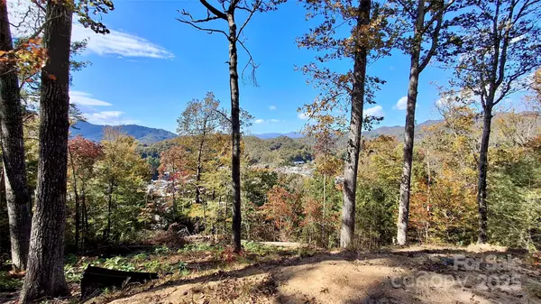 Bryson City, NC 28713,81 Bacon DR #2
