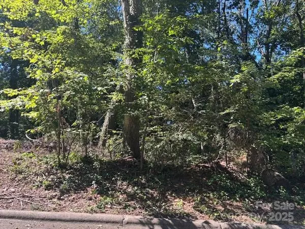 Hickory, NC 28601,1550 & 1560 9th Street LN NW