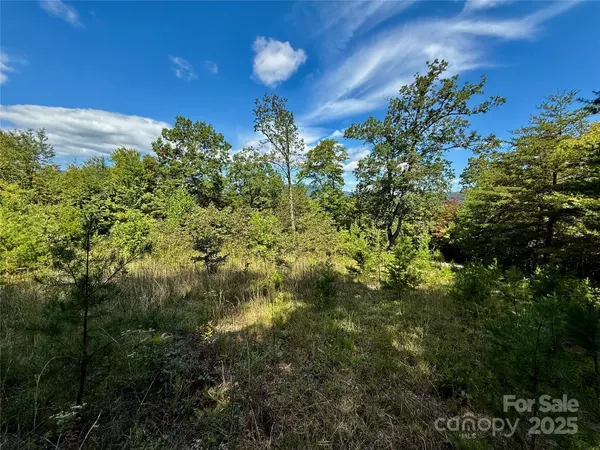 Lake Lure, NC 28746,0 Hibiscus CT #5