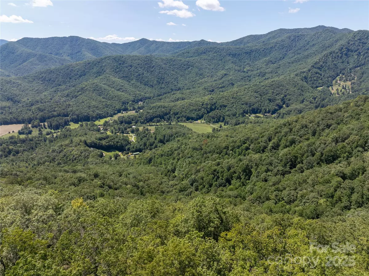 Robbinsville, NC 28771,9999 Cindy Cove TRL