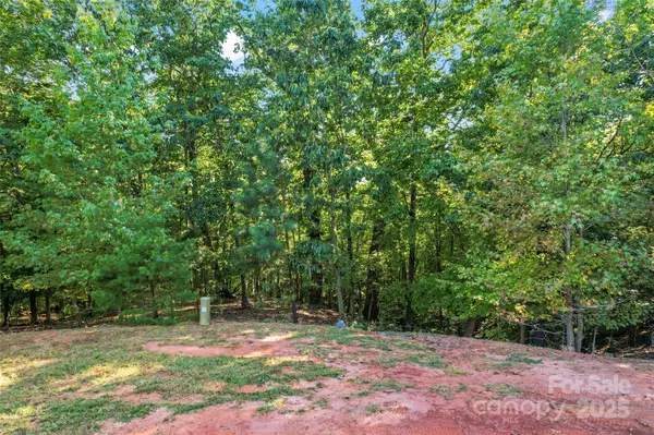 Charlotte, NC 28278,13738 Sage Thrasher LN